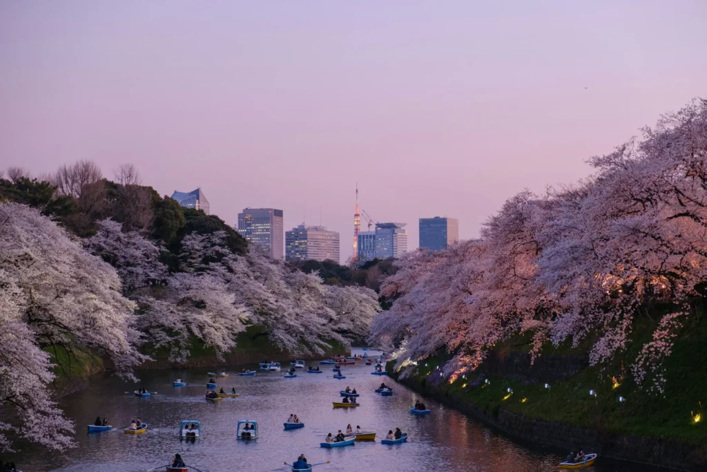 Cerisiers en fleurs le long des douves de Chidorigafuchi à Tokyo