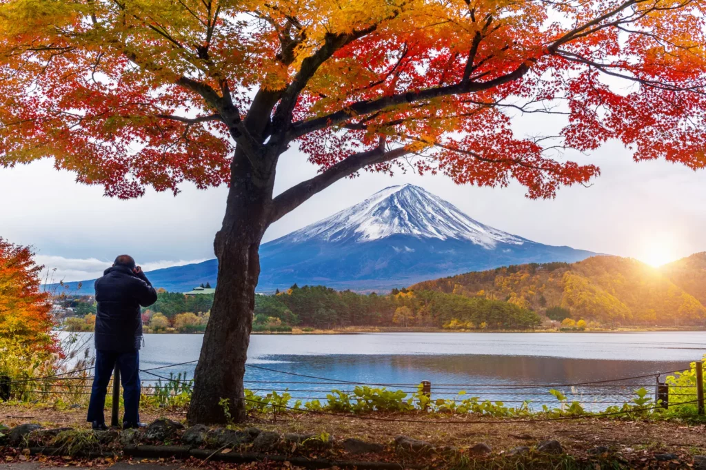 Couple contemplant le mont Fuji sous un érable rouge en automne